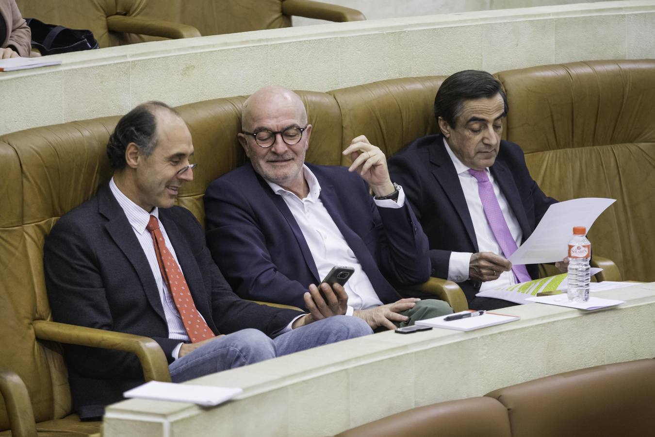 Fotos: Primer pleno de diciembre