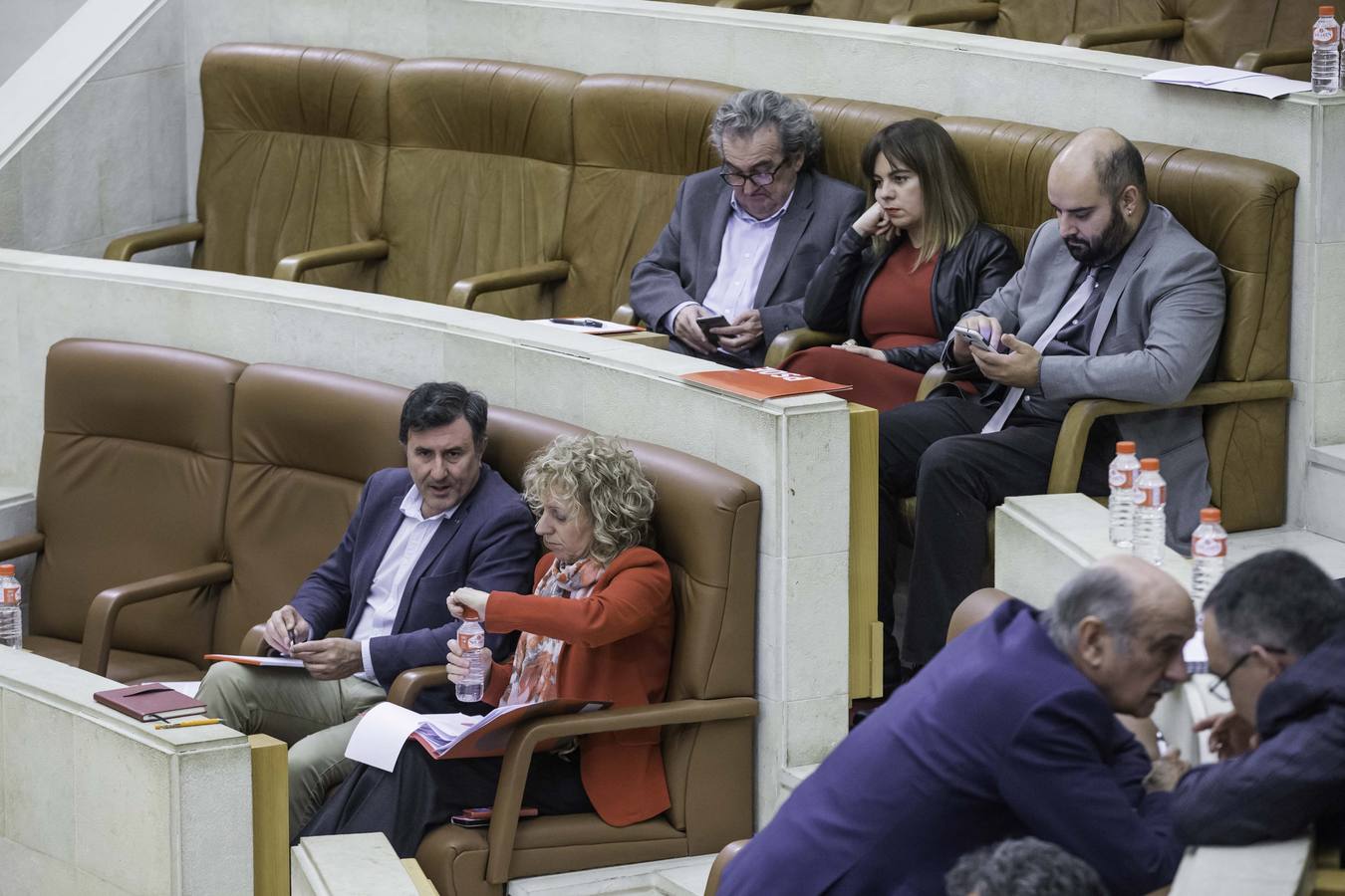 Fotos: Primer pleno de diciembre