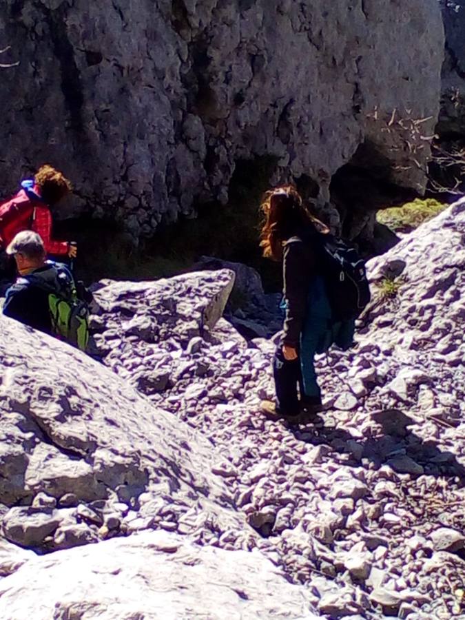 El Grupo de Montaña Cacicedo nos lleva por El laberinto del Asón, una ruta de 13 kilómetros en la que disfrutar. La ruta comenzó a las 10.00 de la mañana en el Collado y acabó a las 15.00 horas en la Gándara. Se llama El Laberinto del Asón porque bajas entre montañas y es tal cual un laberinto. Es un poco escarpado y hay que agarrarse para bajar. En cinco horas se puede hacer esta ruta..