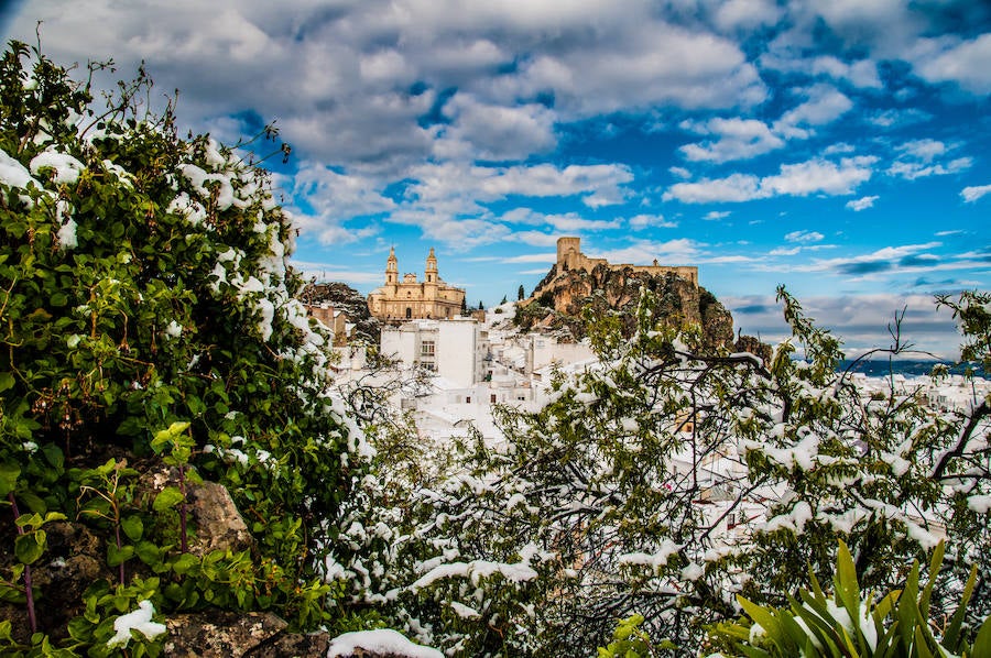 Olvera | Los pueblos ‘blancos’ son algo distintivo de Andalucía, pero lo que la mayoría no sabe es que entre todos ellos, hay una localidad que destaca como referente de pueblo andaluz. Sus rasgos de identidad no se quedan en la gama cromática: su armonía con el paisaje, enclavado en una colina y coronado por un castillo, hacen que este municipio sea el emblema perfecto del paraíso sureño. 