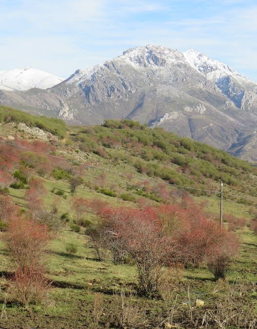 Imagen secundaria 2 - La Ruta de las cascadas y Vegarada se unen en belleza y espectacularidad.