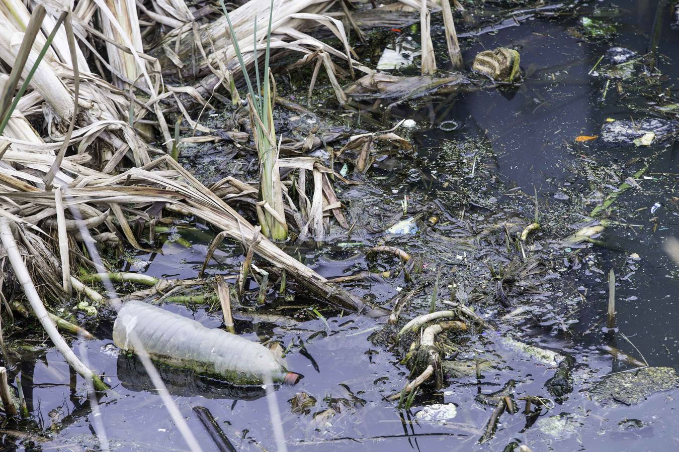 Fotos: Denuncian vertidos incontrolados en la Ría de Raos