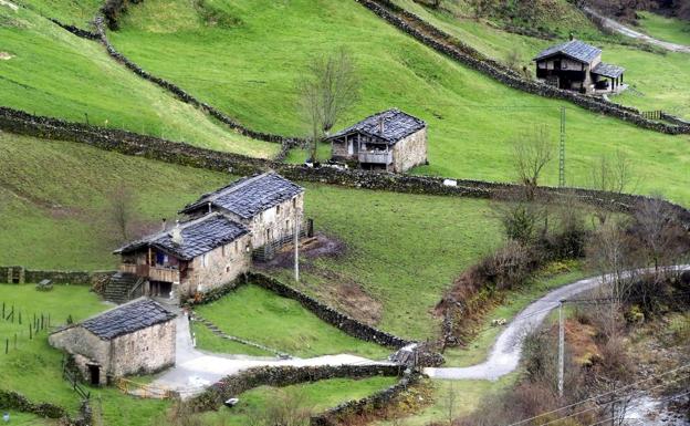 Vega de Pas se descuelga de la candidatura para convertir la comarca en Reserva de la Biosfera