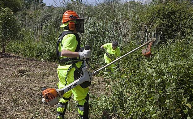 Camargo realiza labores de limpieza de zonas verdes y de desbroce