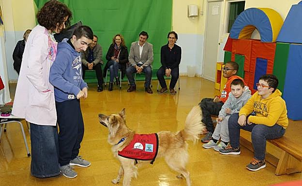 Fernández Mañanes asistió el pasado martes a una de las intervenciones educativas con perros en el centro educativo pejino. 
