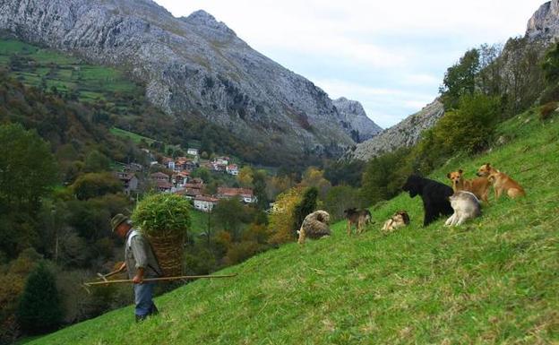 Saro, tercer ayuntamiento que sale de la candidatura a la Reserva de la Biosfera de Valles Pasiegos