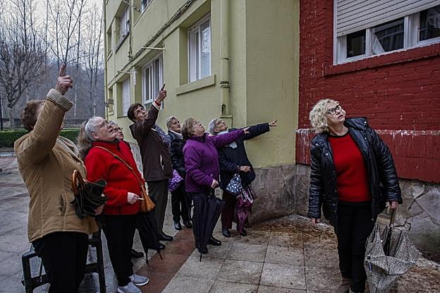 Un grupo de vecinas de la calle Julio Ruiz de Salazar muestra los daños que ocasionan las palomas en los edificios y su entorno. 