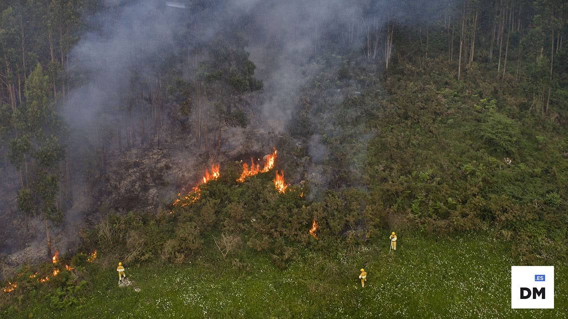 Incendio forestal en Novales