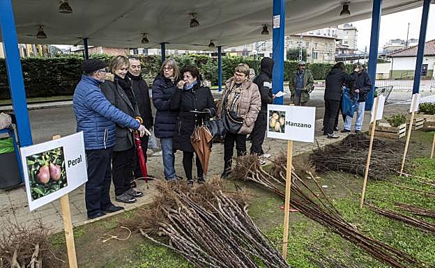 La campaña de repoblación forestal de Camargo se mantiene abierta hasta el 17 de enero