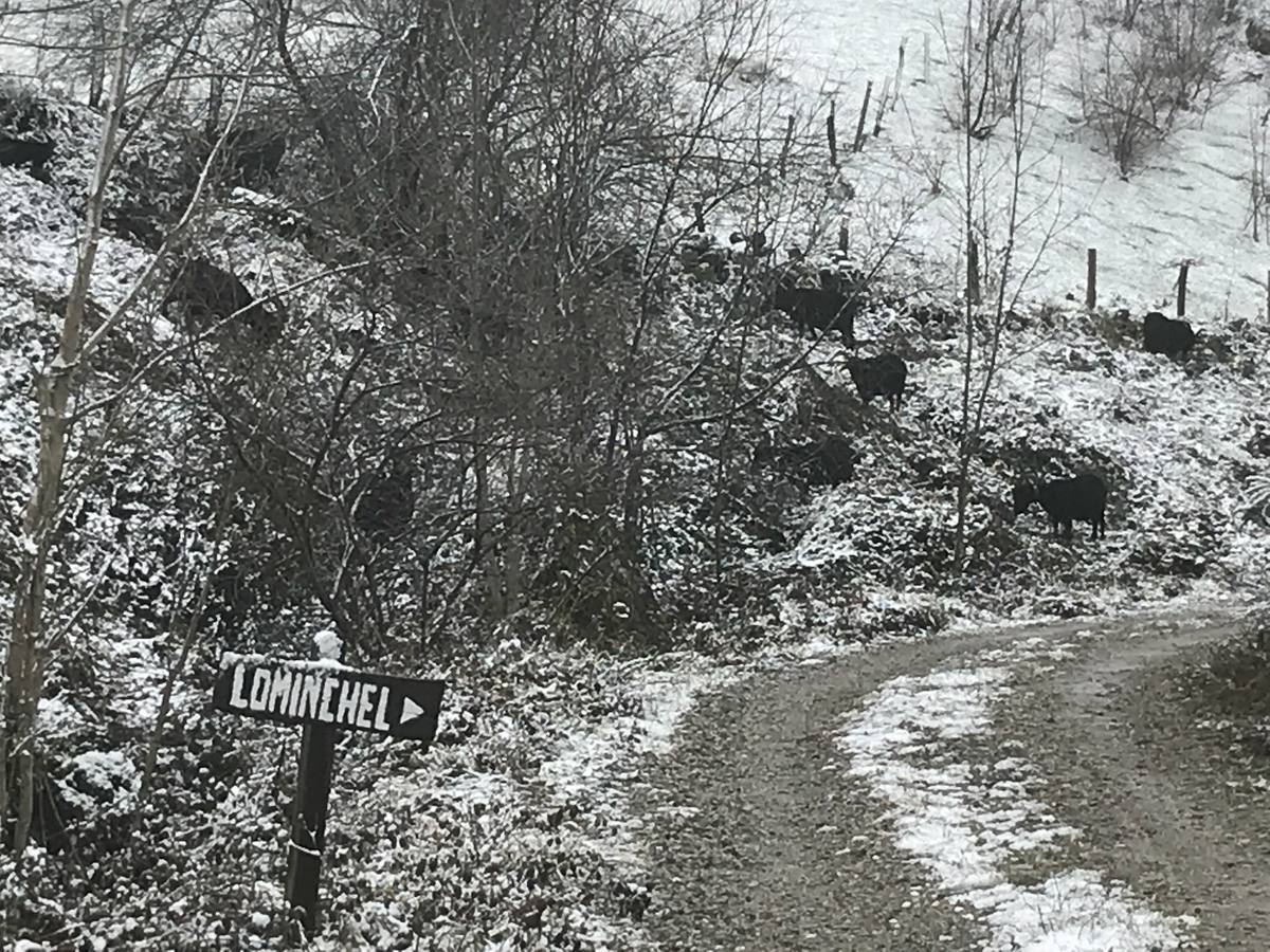 Fotos: La subida a Lunada se tiñe de blanco