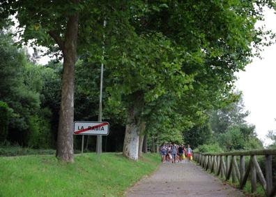 Imagen secundaria 1 - Las quejas de los vecinos paralizan la tala de plataneros en Comillas