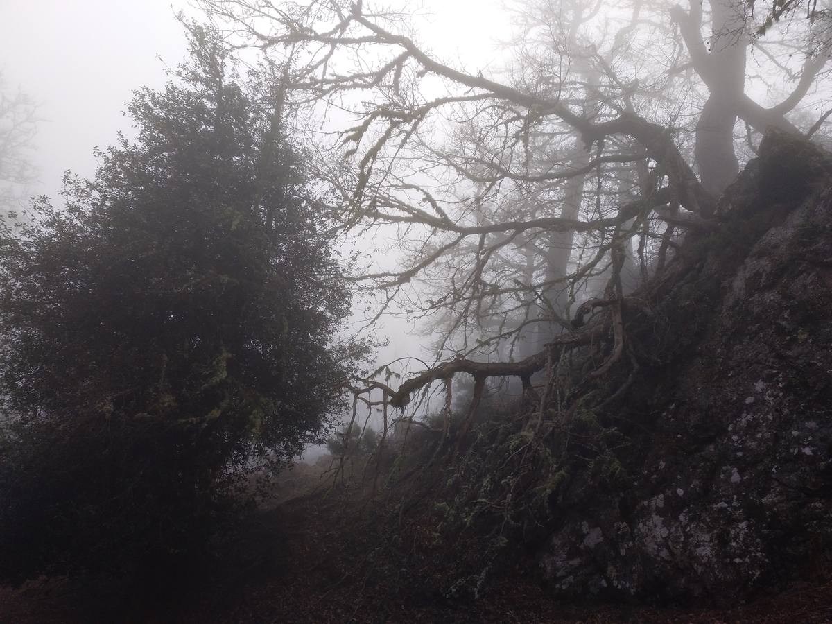 Fotos: Imágenes de la ruta por el Valle de Cereceda y el Pico Jano