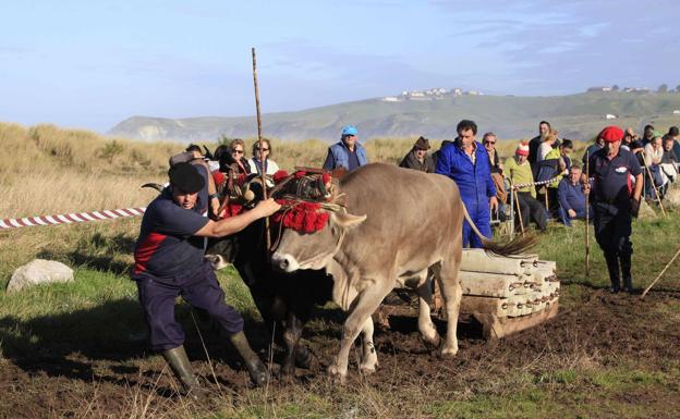 San Vicente suspende la feria ganadera del Patrón por el mal tiempo