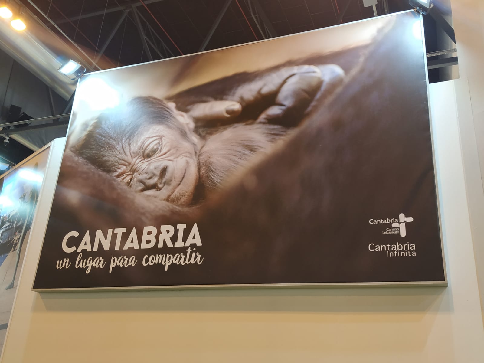 Fotos: Conoce el estand de Cantabria en Fitur 2019