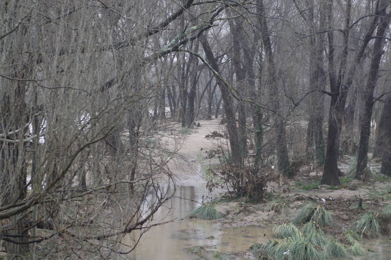 Riberas del Besaya anegadas en Torrelavega.