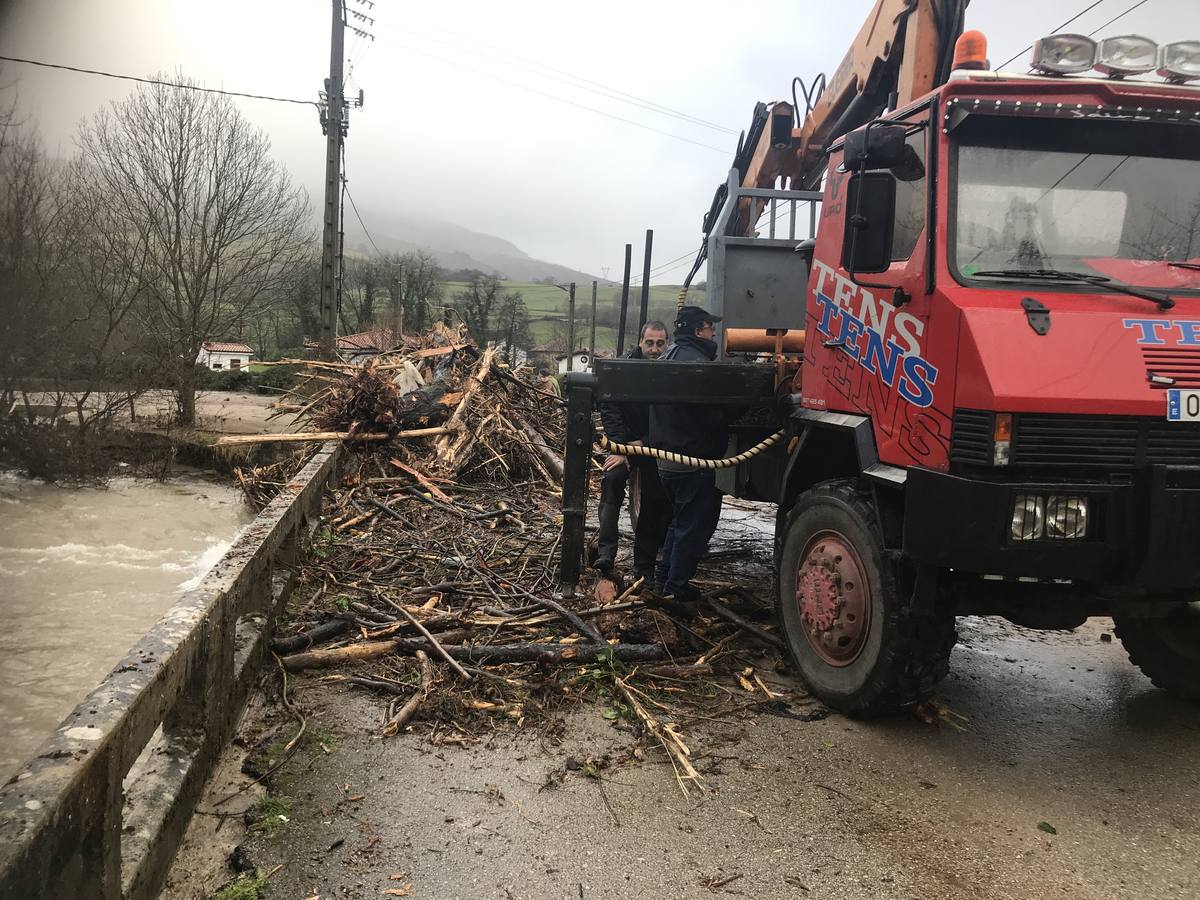 Retirada de las ramas que quedaron sobre el puente de Santa Olalla.