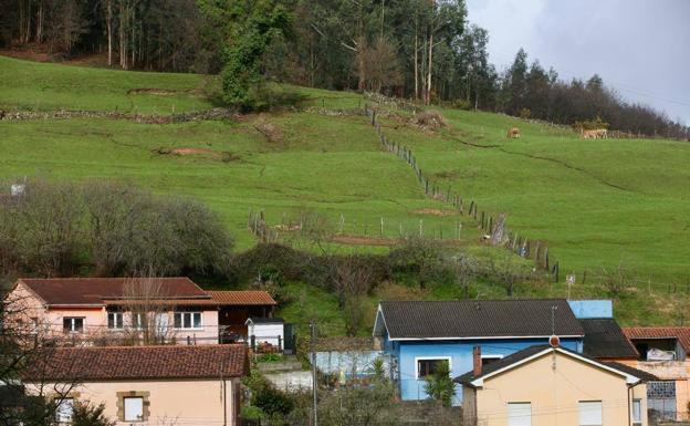Un argayo en San Mateo obliga a desalojar cinco viviendas