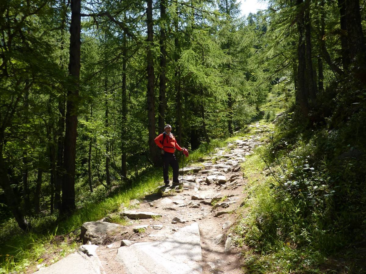 Fotos: Ruta que discurre por Chamonix, Montenvers y Plan de L&#039;Aguille en los Alpes franceses