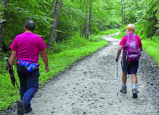 Al comienzo de la ruta por la pista del monte Canales.