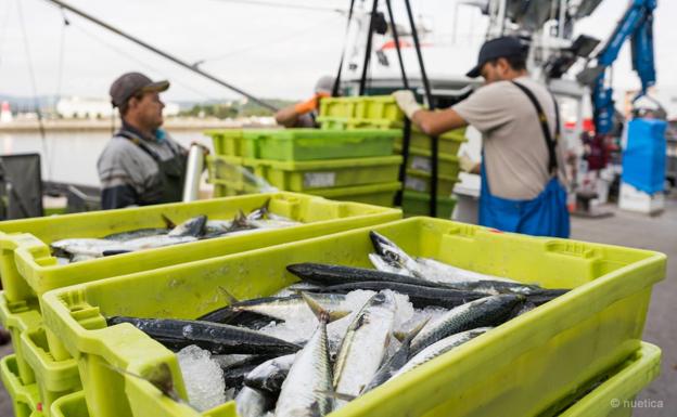 La flota de Santoña cumple el 100% de los parámetros exigidos para proteger el futuro del mar