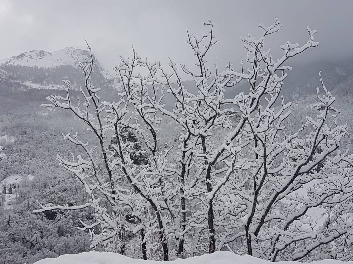 El municipio de Vega de Liébana presenta un espesor de hasta 40 centímetros de nieve, que dificulta los quehaceres cotidianos de los habitantes pero deja imágenes de postal. 