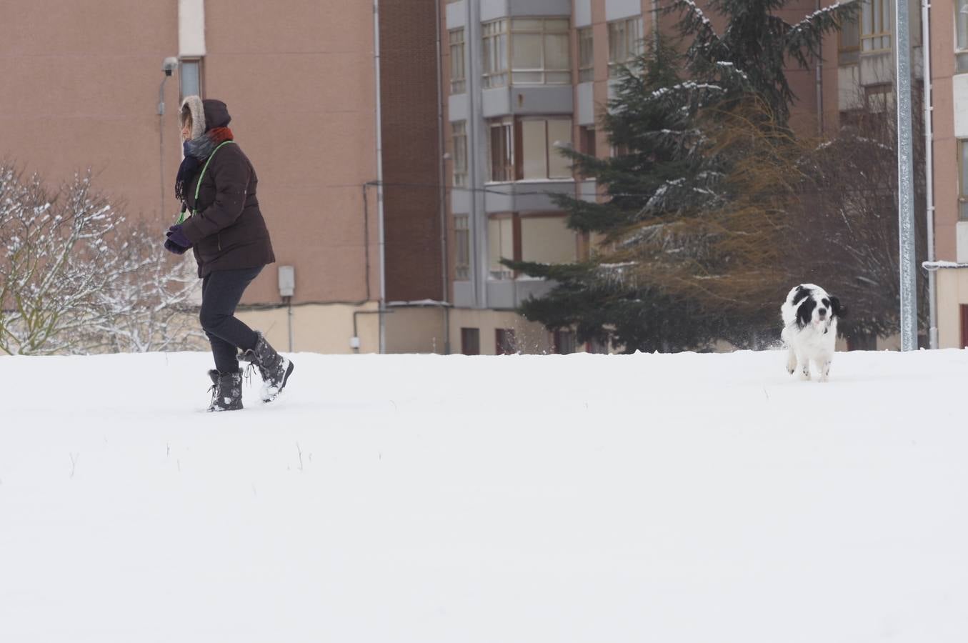 Así ha amanecido este sábado Reinosa, con las calles cubiertas por una espesa capa de nieve