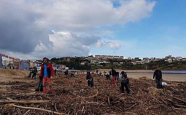 Voluntarios limpiando esta mañana las playas de Suances.