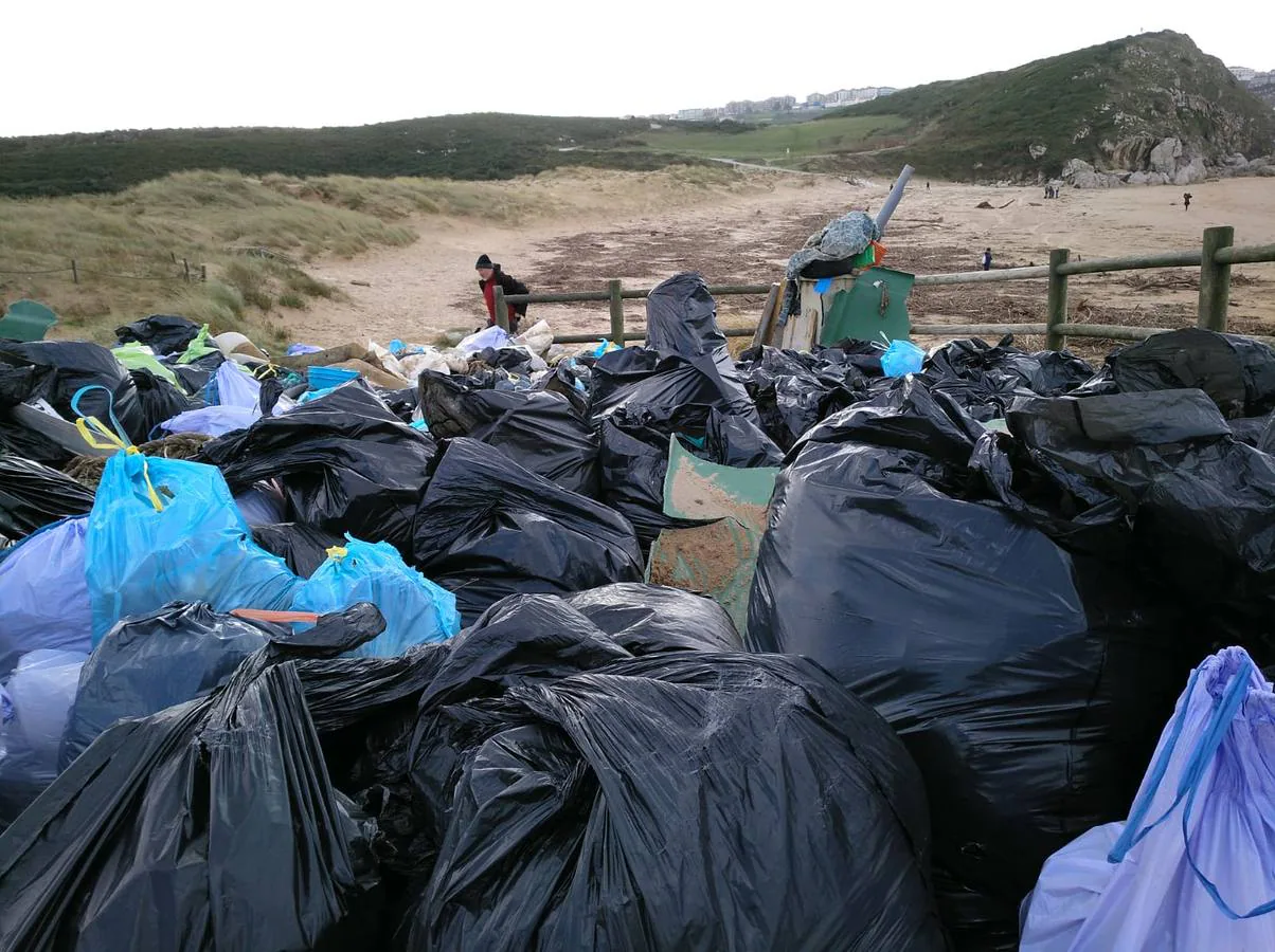 Fotos: Cientos de voluntarios participan en la jornada de limpieza de las playas del Besaya arrasadas por las riadas