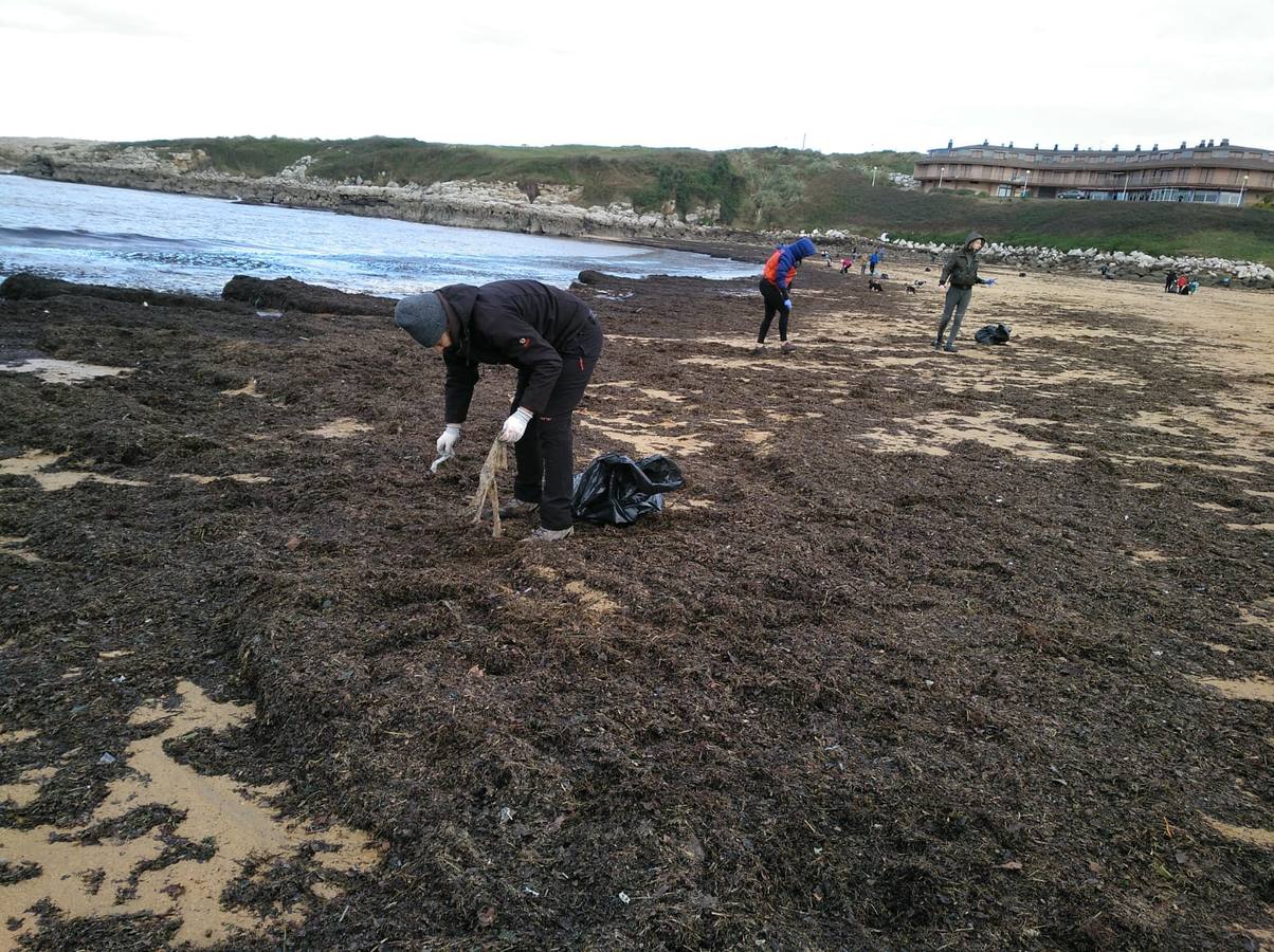 Fotos: Cientos de voluntarios participan en la jornada de limpieza de las playas del Besaya arrasadas por las riadas
