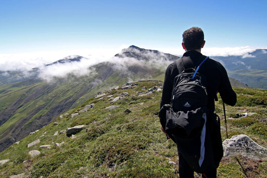 Los puertos de Sejos son unos grandes pastizales en la vertiente norte de la sierra del Cordel. Situados a unos 1.900 metros de altitud, se aprecia un predominio de pastizales y matorral alpino. Están entre los municipios de Polaciones, Los Tojos, Tudanca y la Hermandad de Campoo de Suso;sus propietarios son Los Tojos y Campoo de Suso y reciben el nombre de Mancomunidad de Campoo-Cabuérniga.