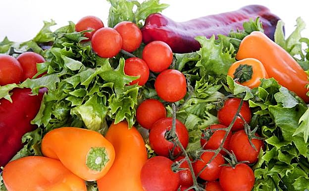 La dieta y la gastronomía cántabra