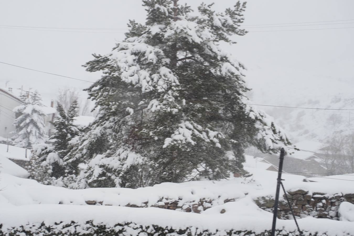 El paso de la borrasca 'Helena' viste de blanco los paisajes de Campoo.