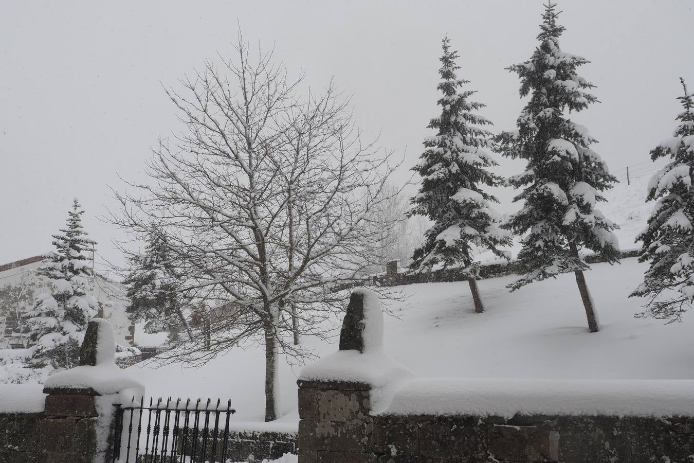El paso de la borrasca 'Helena' viste de blanco los paisajes de Campoo.