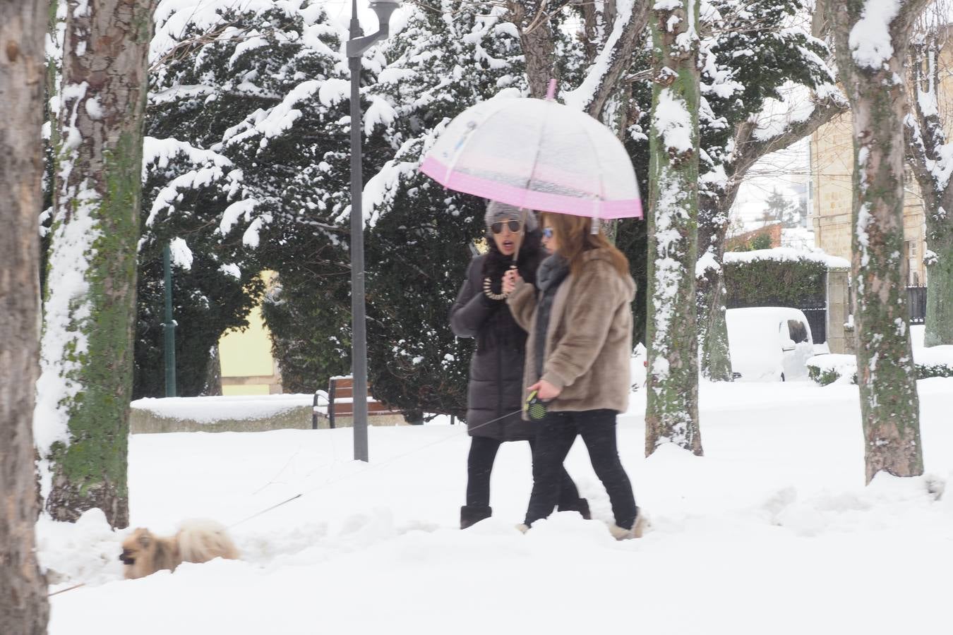 El paso de la borrasca 'Helena' viste de blanco los paisajes de Campoo.