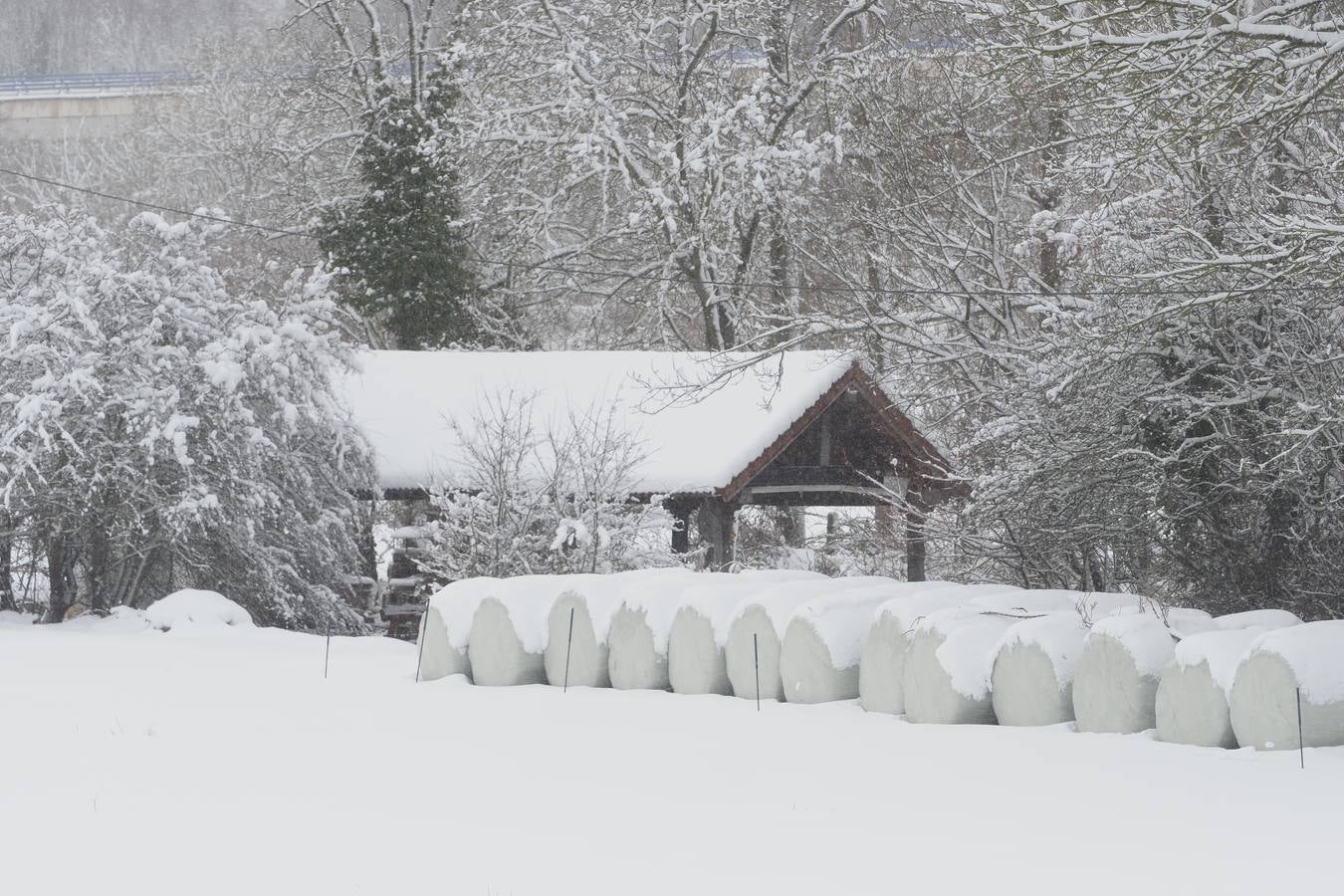 El paso de la borrasca 'Helena' viste de blanco los paisajes de Campoo.