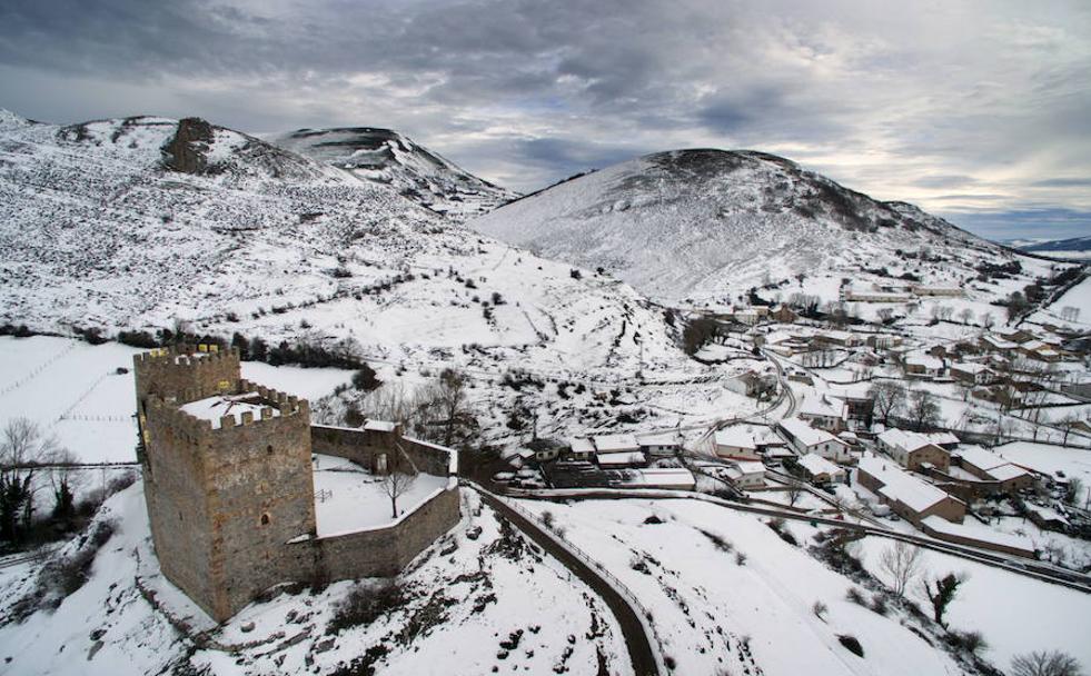 El castillo de Argüeso es una fortificación medieval declarada Bien de Interés Cultural en el año 1983. Está en el término municipal de la Hermandad de Campoo de Suso y se encuentra en lo alto de una loma, fácilmente visible desde la carretera de acceso desde Paracuelles.