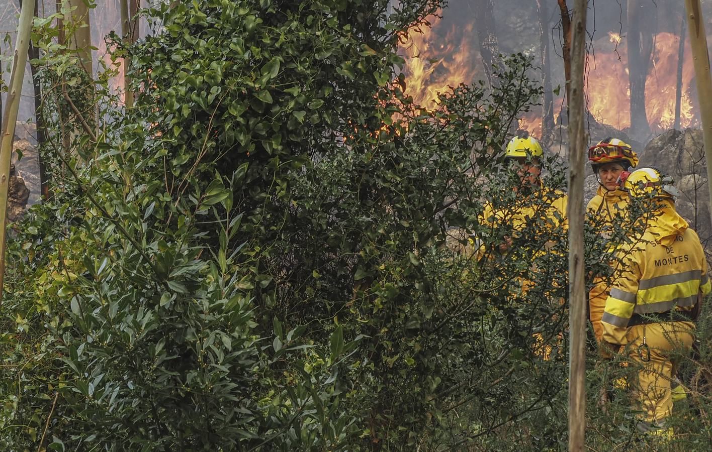 Fotos: Incendios en La Cavada y Vega de Pas este viernes