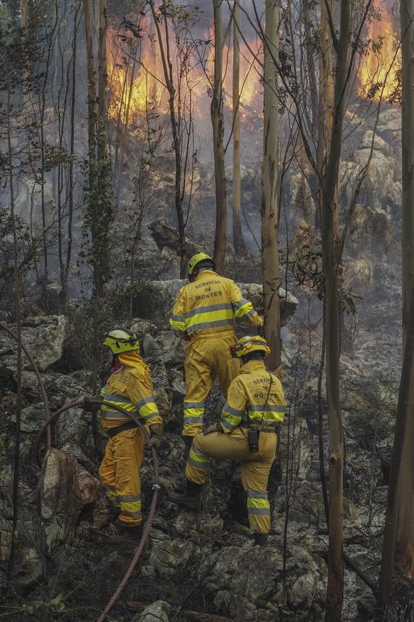 Fotos: Incendios en La Cavada y Vega de Pas este viernes