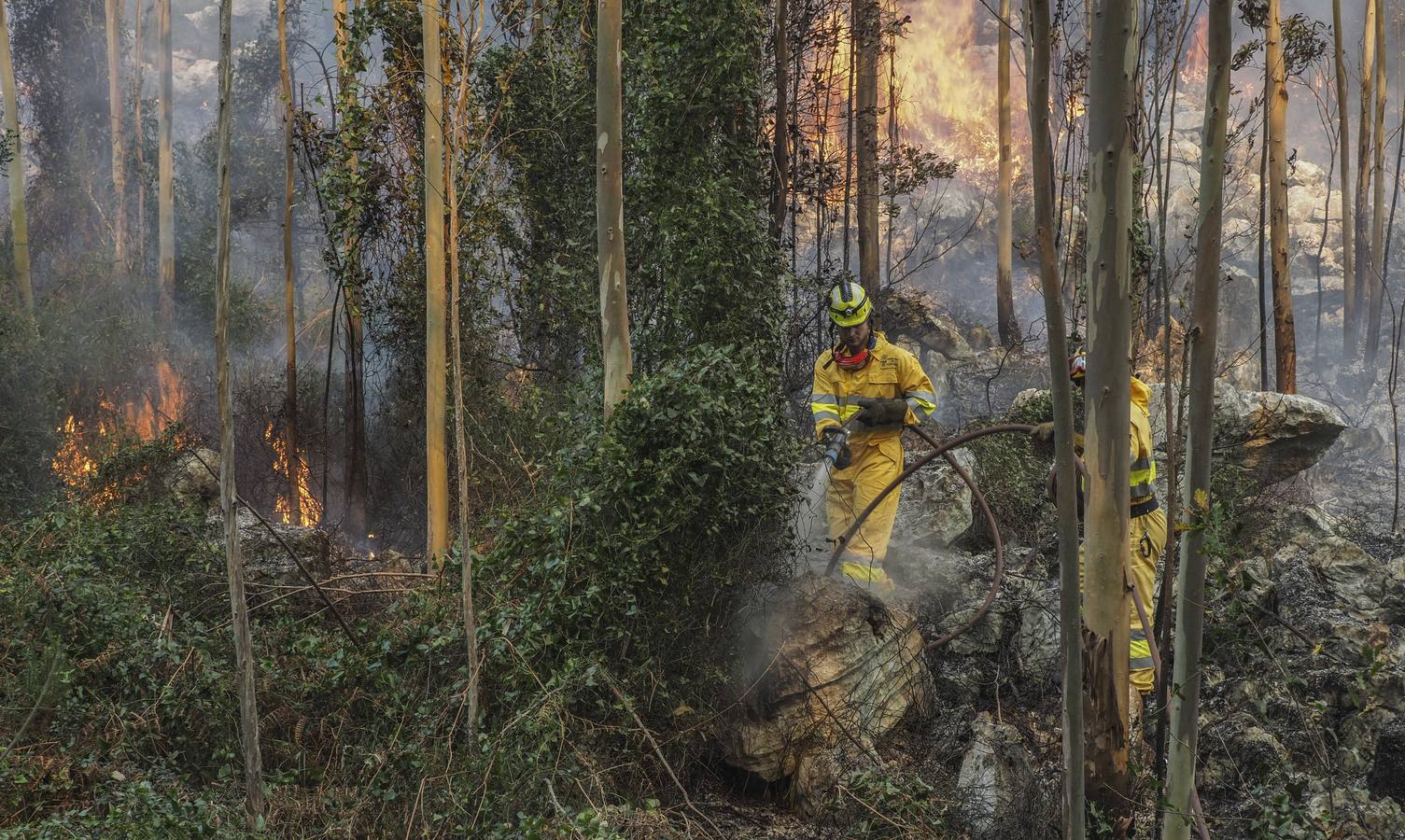 Fotos: Incendios en La Cavada y Vega de Pas este viernes