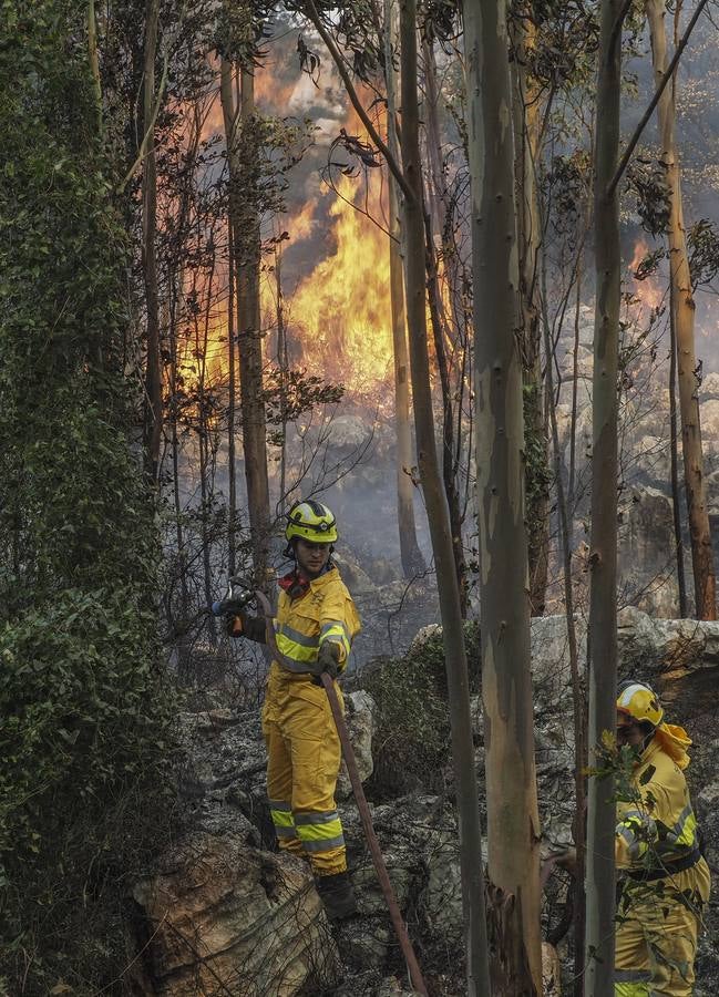 Fotos: Incendios en La Cavada y Vega de Pas este viernes