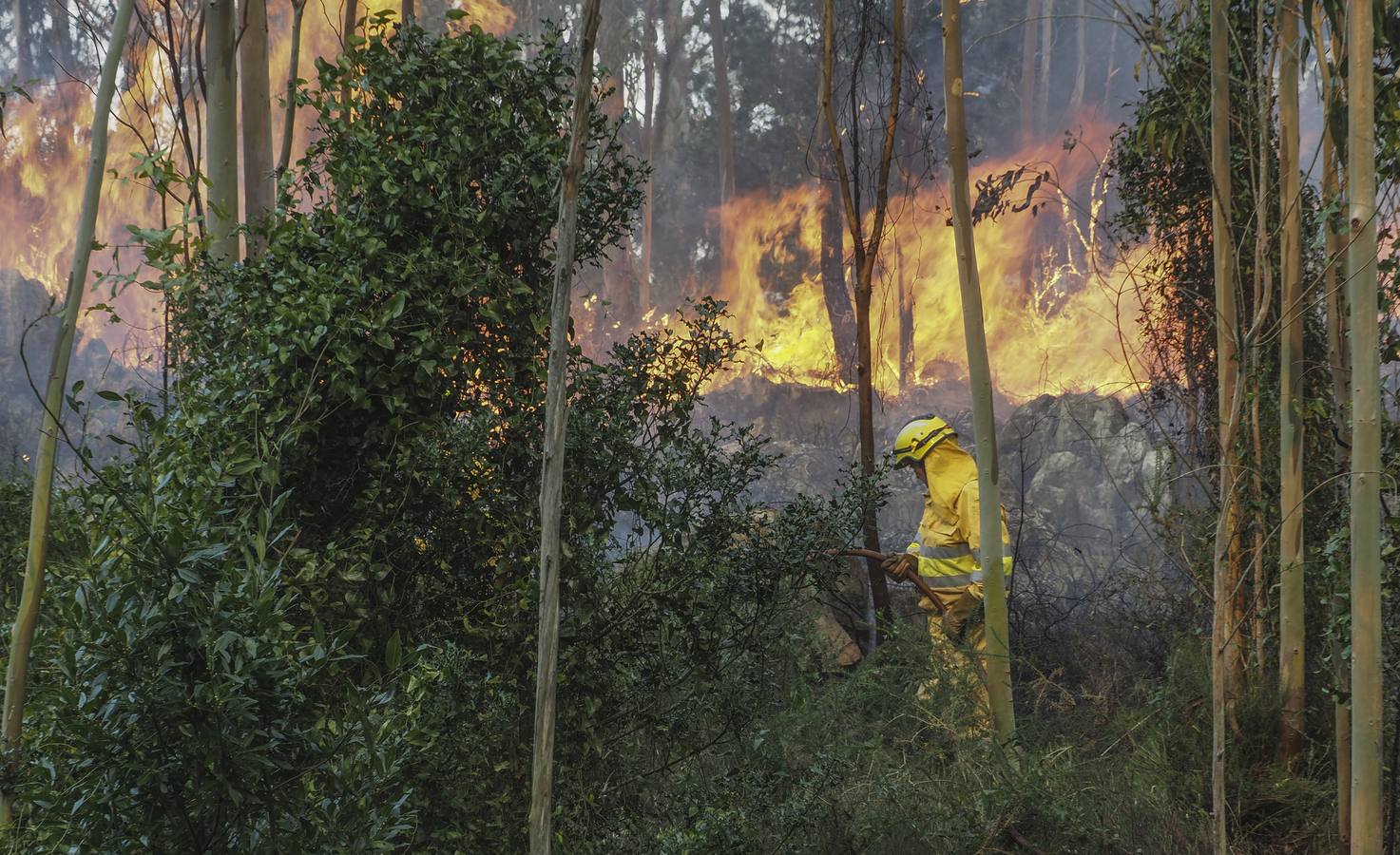 Fotos: Incendios en La Cavada y Vega de Pas este viernes