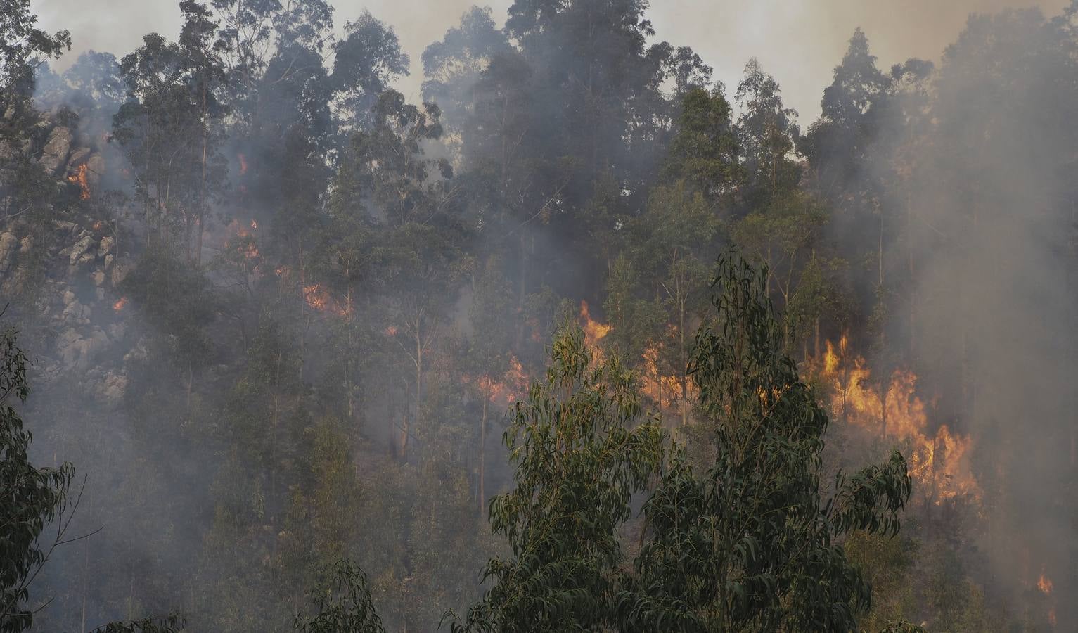 Fotos: Incendios en La Cavada y Vega de Pas este viernes