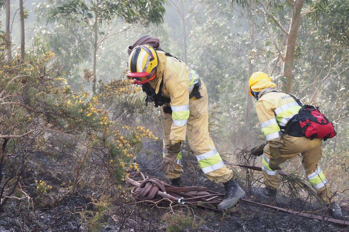 Fotos: La lucha contra el fuego de los operarios de Montes