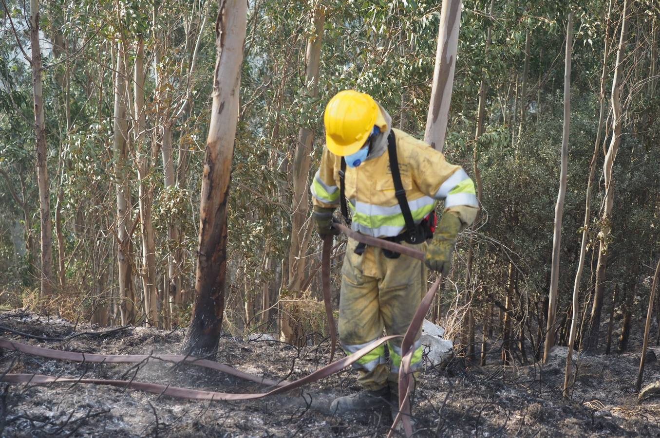 Fotos: La lucha contra el fuego de los operarios de Montes