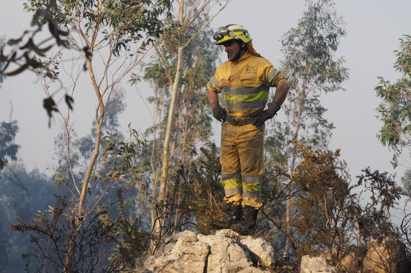 Fotos: La lucha contra el fuego de los operarios de Montes