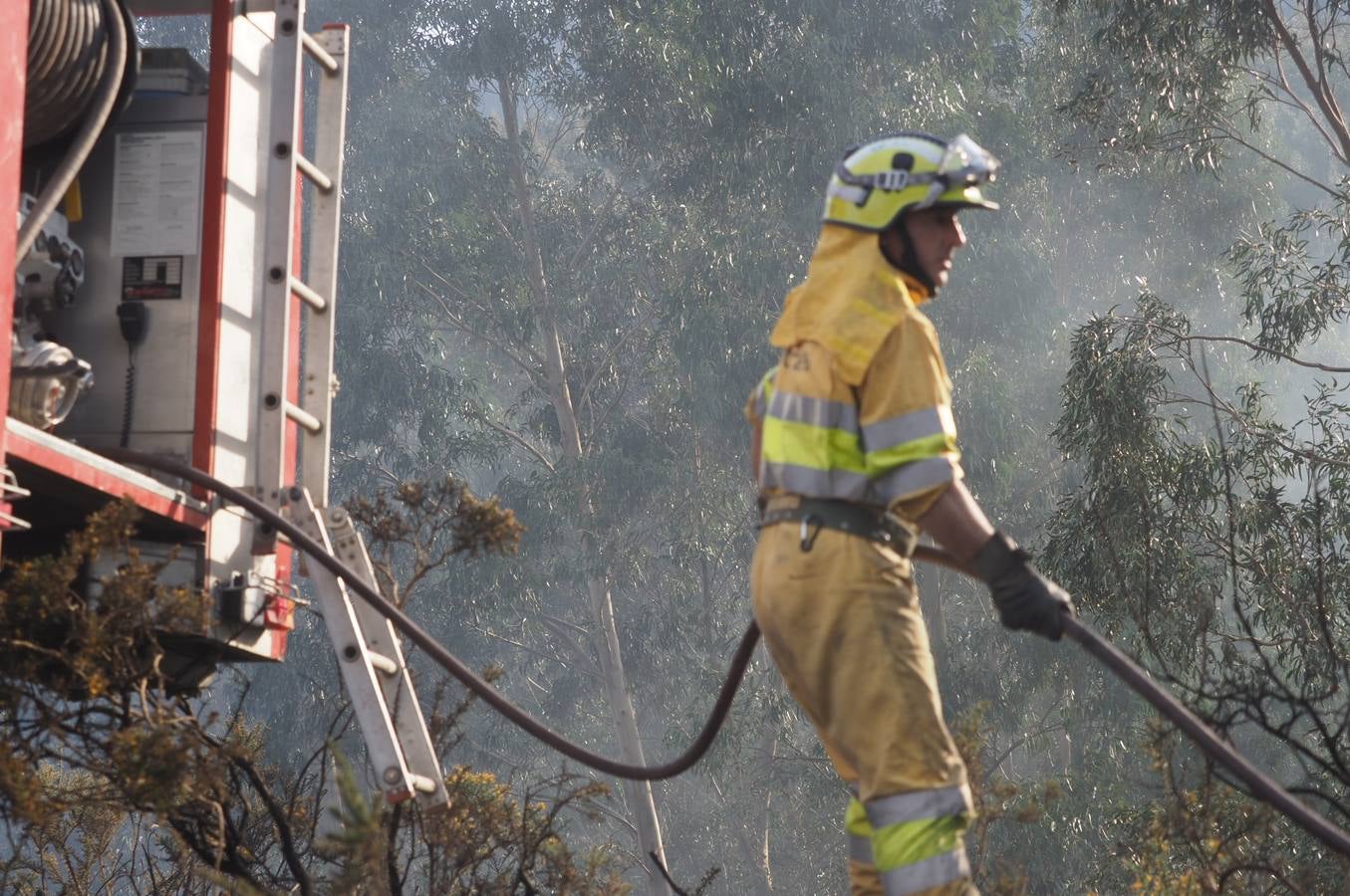 Fotos: La lucha contra el fuego de los operarios de Montes