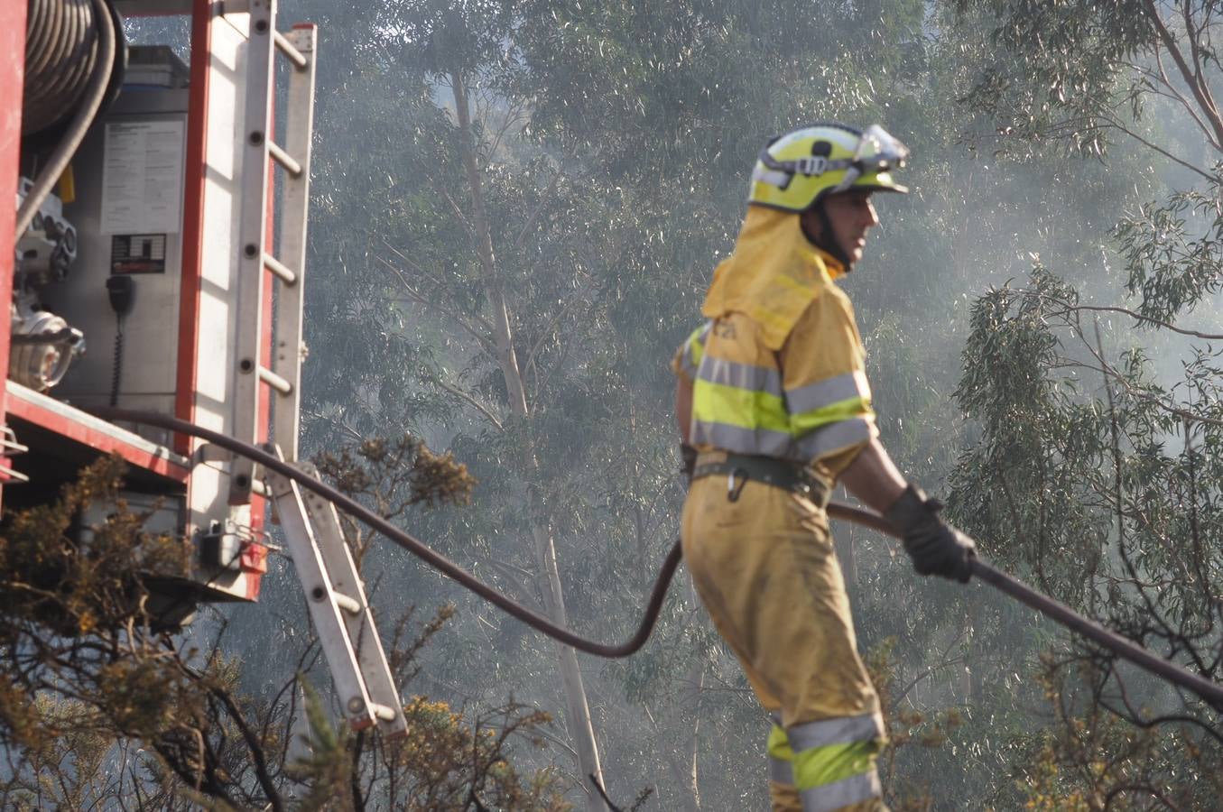 Fotos: La lucha contra el fuego de los operarios de Montes