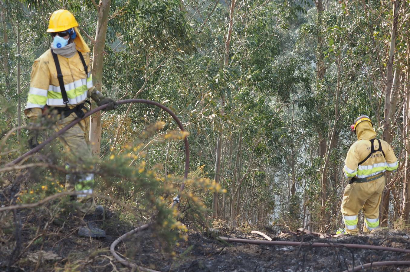 Fotos: La lucha contra el fuego de los operarios de Montes