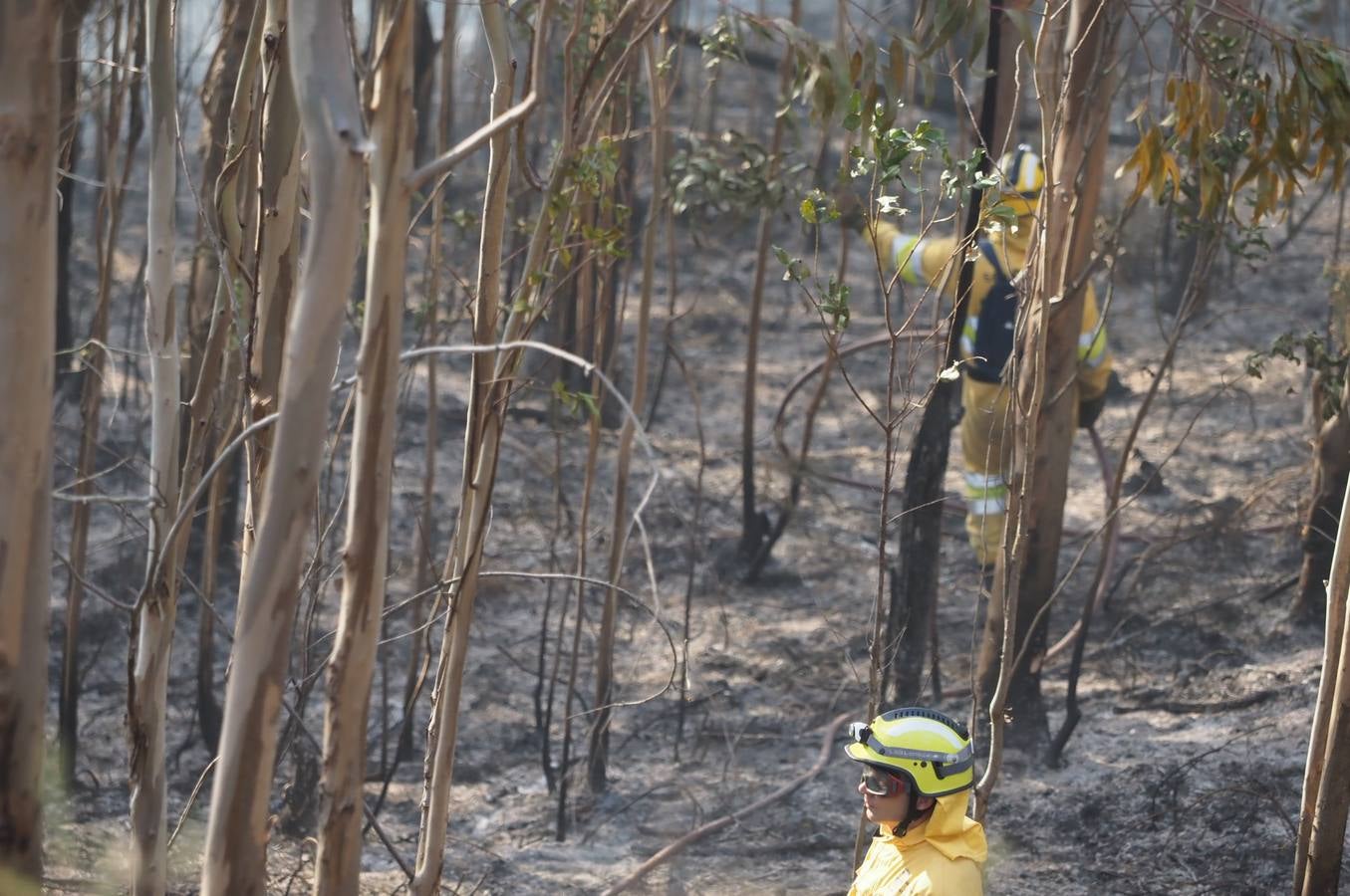 Fotos: La lucha contra el fuego de los operarios de Montes