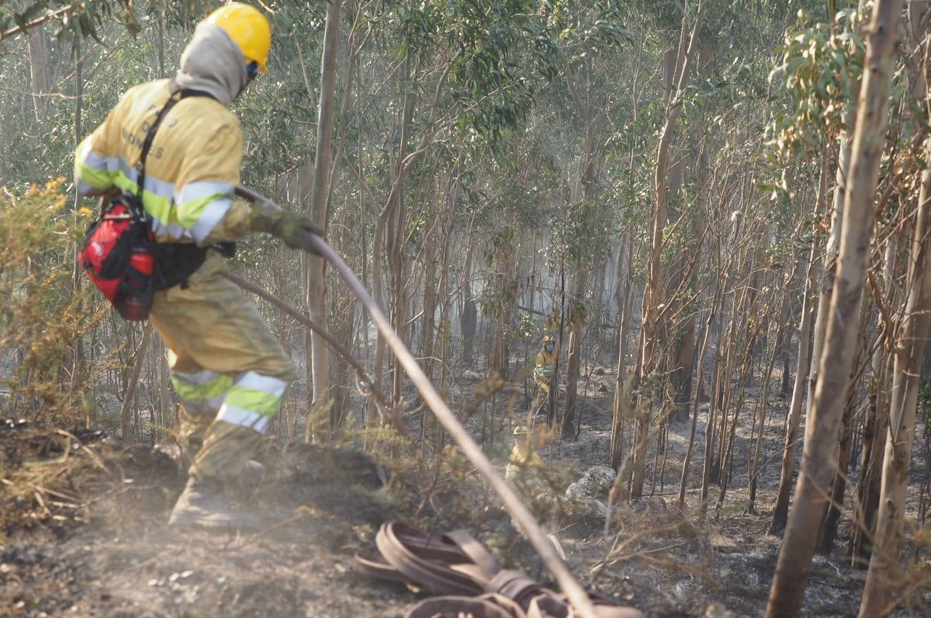 Fotos: La lucha contra el fuego de los operarios de Montes